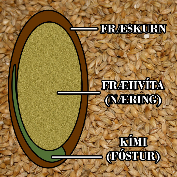 Fullkomin fræmynd
