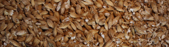 Galvaskt grunnmalt